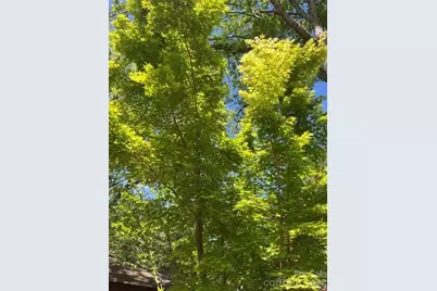 86 R and R Hyder Lane, Hendersonville, NC 28792 - Photo 5