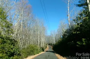 300 Serenity Trail, Rosman, NC 28772 - Photo 3