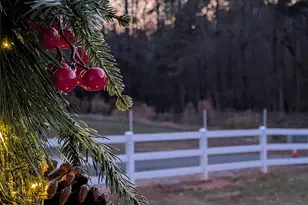 4592 Reid Rd, Edgemoor, SC 29712 - Photo 23