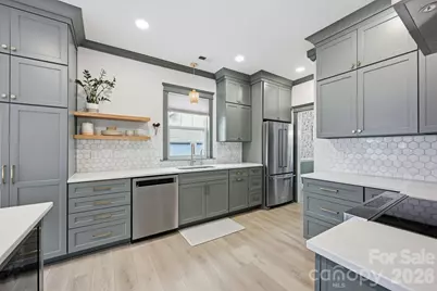 143 Park Forest Street, Davidson, NC 28036 - Photo 3