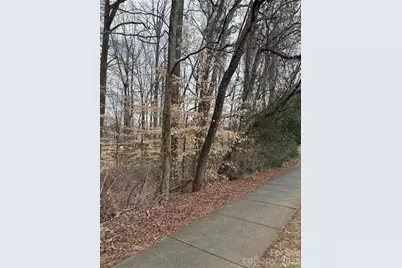 1062 Elizabeth Manor Court, Matthews, NC 28105 - Photo 3