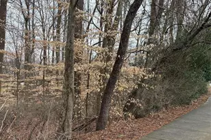 1062 Elizabeth Manor Ct, Matthews, NC 28105 - Photo 3