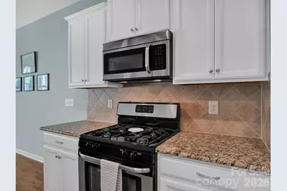 7010 Swamp Chestnut Lane, Fort Mill, SC 29707 - Photo 13