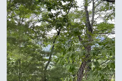 0 Stratford Drive #19, Mill Spring, NC 28756 - Photo 5