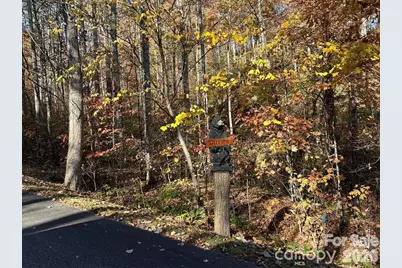 Lot 3 Mountain Watch Drive, Waynesville, NC 28785 - Photo 9