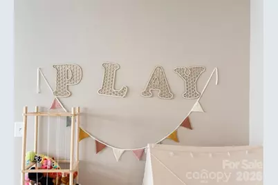 927 Cobbled Way, Fort Mill, SC 29715 - Photo 11