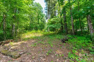 Tbd Woodfin Rd, Sylva, NC 28779 - Photo 1