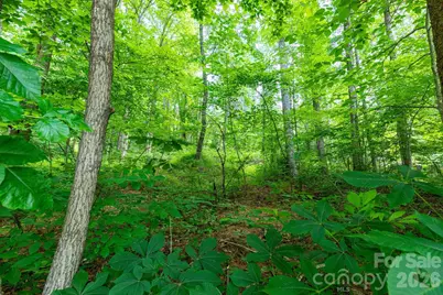 Tbd Woodfin Road, Sylva, NC 28779 - Photo 9
