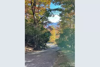 425 Flat Top Mountain Road, Fairview, NC 28730 - Photo 45