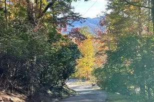 425 Flat Top Mountain Rd, Fairview, NC 28730 - Photo 45