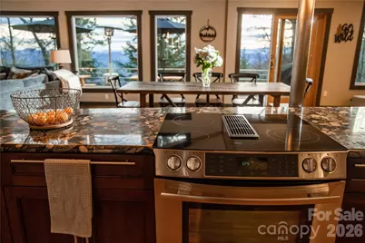 425 Flat Top Mountain Road, Fairview, NC 28730 - Photo 7