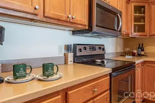 143 Wildflower Ridge, Sugar Mountain, NC 28604 - Photo 11