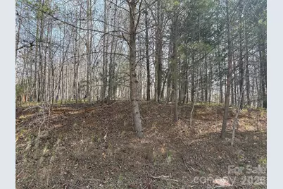 0 Valley Drive #142, Rutherfordton, NC 28139 - Photo 9