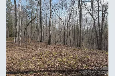 0 Valley Drive #142, Rutherfordton, NC 28139 - Photo 7