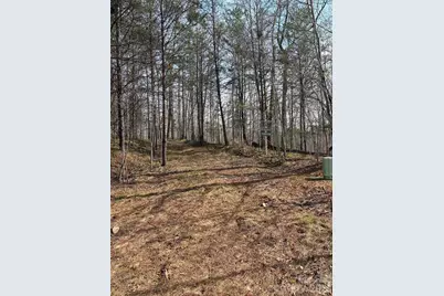 0 Valley Drive #142, Rutherfordton, NC 28139 - Photo 3