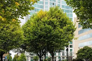 7 Patton Ave, Asheville, NC 28801 - Photo 17