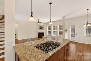 300 Woodward Ridge Dr, Mount Holly, NC 28120 - Photo 11