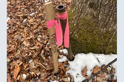 #167 Rolling Road, Lincolnton, NC 28092 - Photo 3