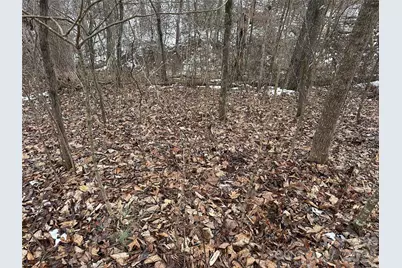 #167 Rolling Road, Lincolnton, NC 28092 - Photo 9