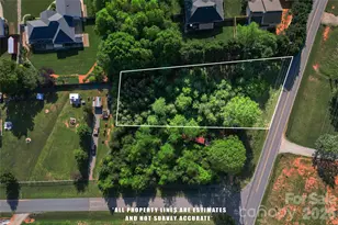 6914 Little Mountain Rd, Sherrills Ford, NC 28673 - Photo 9