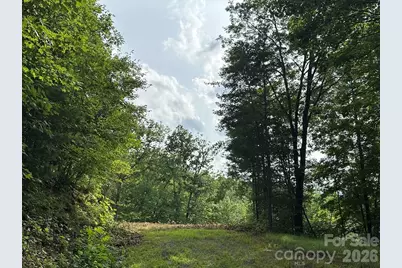 87-3 Eagles Flight None, Bryson City, NC 28713 - Photo 3