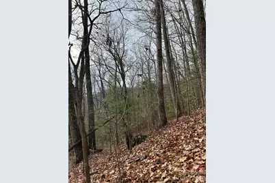 99999 Cowan Cove Road, Asheville, NC 28806 - Photo 3