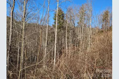 27 Bent Branch Lane #10, Asheville, NC 28804 - Photo 11