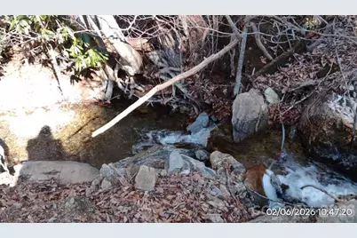 337 Red Bank Road, Waynesville, NC 28786 - Photo 9