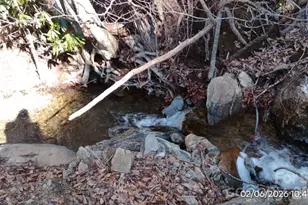 337 Red Bank Rd, Waynesville, NC 28786 - Photo 9