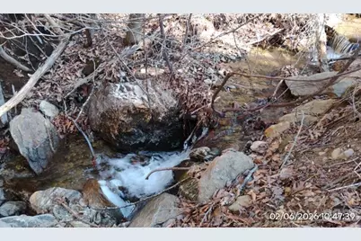 337 Red Bank Road, Waynesville, NC 28786 - Photo 7