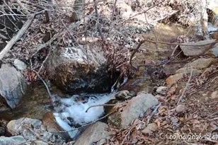 337 Red Bank Rd, Waynesville, NC 28786 - Photo 7