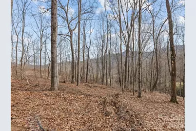0 Barn View Lane, Waynesville, NC 28785 - Photo 11