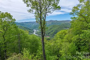 236 Dove Dr, Maggie Valley, NC 28751 - Photo 37