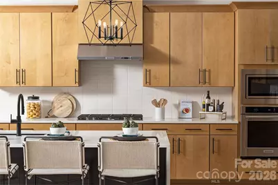 4201 Pinekirk Drive #376, Charlotte, NC 28269 - Photo 7