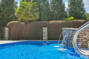 123 Palos Verde Drive, Mooresville, NC 28117 - Photo 45