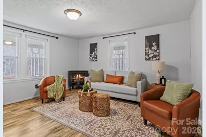 16180 US Hwy 19W Highway, Green Mountain, NC 28740 - Photo 3