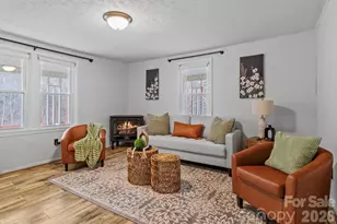 16180 US Hwy 19W Hwy, Green Mountain, NC 28740 - Photo 3