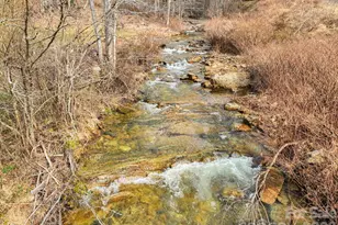 16180 US Hwy 19W Hwy, Green Mountain, NC 28740 - Photo 33