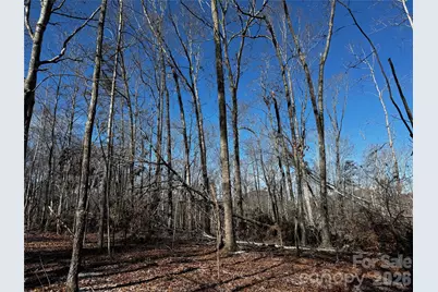 0 Painters Gap Road, Union Mills, NC 28167 - Photo 3