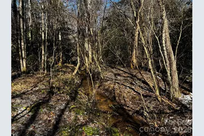 0 Painters Gap Road, Union Mills, NC 28167 - Photo 15