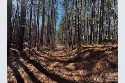0 Painters Gap Road, Union Mills, NC 28167 - Photo 1