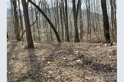 000 Max Metcalf Road, Swannanoa, NC 28778 - Photo 1