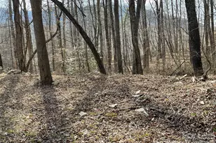 000 Max Metcalf Rd, Swannanoa, NC 28778 - Photo 1