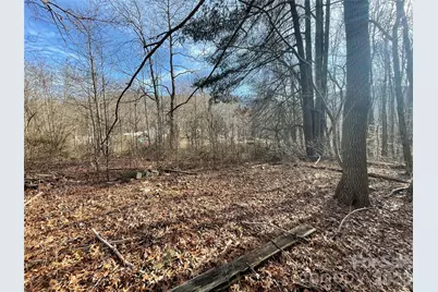 000 Max Metcalf Road, Swannanoa, NC 28778 - Photo 5