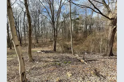 000 Max Metcalf Road, Swannanoa, NC 28778 - Photo 11