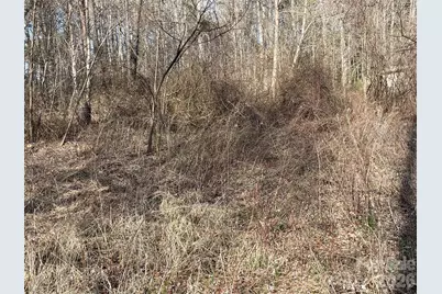 000 Max Metcalf Road, Swannanoa, NC 28778 - Photo 3