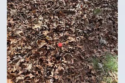 000 Max Metcalf Road, Swannanoa, NC 28778 - Photo 7