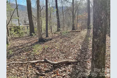 218 Max Metcalf Road, Swannanoa, NC 28778 - Photo 5