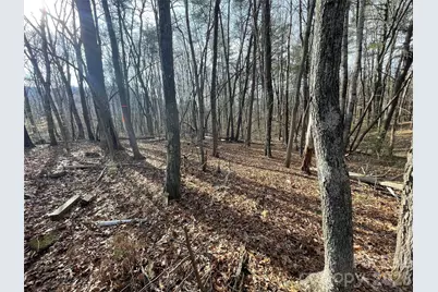 218 Max Metcalf Road, Swannanoa, NC 28778 - Photo 3