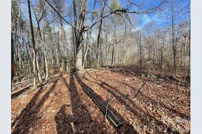 218 Max Metcalf Road, Swannanoa, NC 28778 - Photo 1